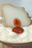 Carey Plume Agate Oval Cabochon 5 carats - radiantrocksct