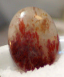 Carey Plume Agate Oval Cabochon 21.5 carats - radiantrocksct