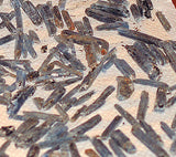 Electric Blue Zimbabwe Kyanite crystals 1 lb 5.4 oz lapidary rough (607 grams) - radiantrocksct