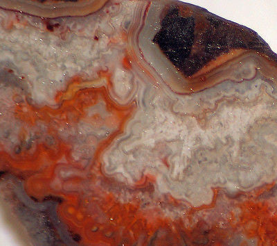 Peach Crazy Lace agate Slab 3.6 oz Great colors / patterns (102 grams) - radiantrocksct