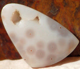 Ocean Jasper Freeform Cabochon 76 carats great patterns White beauty - radiantrocksct