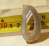 Brazilian Agate 0.6 oz lapidary slab - cabochon or wire wrap- (17 grams) - radiantrocksct