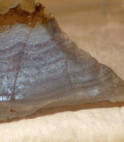 Namibian Blue Lace Agate 0.8 oz lapidary slab - radiantrocksct