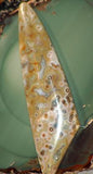 Ocean Jasper Freeform Cabochon 60 carats great patterns and colors - radiantrocksct