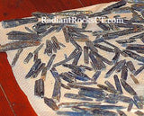 Blue Zimbabwe Kyanite crystals 1 lb 4.2 oz lapidary rough (573 grams) - radiantrocksct