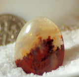 Carey Plume Agate Oval Cabochon 24.5 carats - radiantrocksct