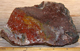 Morocco Jasper Agate 12.2 ounces lapidary slab - radiantrocksct