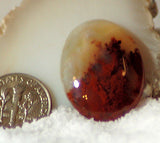Carey Plume Agate Oval Cabochon 24.5 carats - radiantrocksct