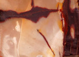 Australian Mookaite Jasper Lapidary slab 7.6 oz (215 gram) - radiantrocksct
