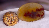 Carey Plume Agate Oval Cabochon 19 carats - radiantrocksct