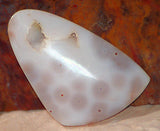 Ocean Jasper Freeform Cabochon 76 carats great patterns White beauty - radiantrocksct