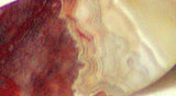 Red Crazy Lace Agate Cabochon17 carats - radiantrocksct
