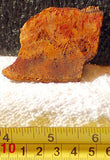 Peach Feather Ridge Plume Agate  slab (17 grams) - radiantrocksct
