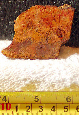 Peach Feather Ridge Plume Agate  slab (17 grams) - radiantrocksct