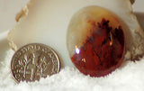 Carey Plume Agate Oval Cabochon 24.5 carats - radiantrocksct