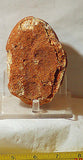 Piranha Brazilian banded Agate rough ~1.2 lbs - windchimes, sun catchers(578 gm) - radiantrocksct
