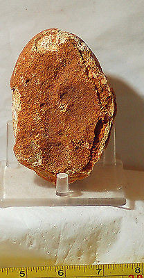 Piranha Brazilian banded Agate rough ~1.2 lbs - windchimes, sun catchers(578 gm) - radiantrocksct