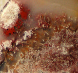 Red Crazy Lace Agate Cabochon 81 carats - radiantrocksct