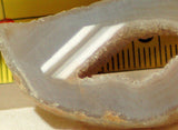 Brazilian Agate 0.6 oz lapidary slab - cabochon or wire wrap- (17 grams) - radiantrocksct