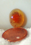Carey Plume Agate Oval Cabochon 5 carats - radiantrocksct