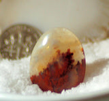 Carey Plume Agate Oval Cabochon 24.5 carats - radiantrocksct