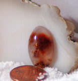 Carey Plume Agate Oval Cabochon 10.5 carats - radiantrocksct