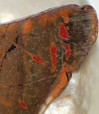 Cherry Creek Jasper 2.2oz lapidary cabochon slab - radiantrocksct