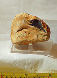 Piranha Brazilian banded Agate rough ~13.6oz - windchimes, sun catchers (386grm) - radiantrocksct