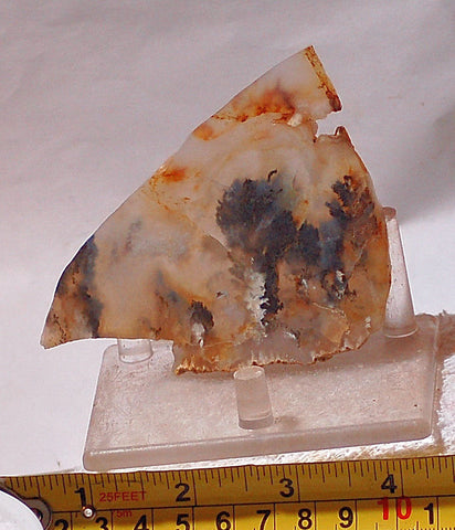 Graveyard Point Plume Agate 2.0oz lapidary slab (57 grams) - radiantrocksct