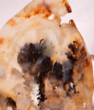 Graveyard Point Plume Agate 2.0oz lapidary slab (57 grams) - radiantrocksct
