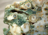 Madagascar Ocean Jasper 33oz Lapidary Cab Slab - white green druzy - radiantrocksct