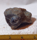Botswana banded agate 3.8 oz lapidary nodule - fun banding! (85 grams) - radiantrocksct