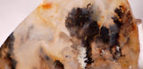 Graveyard Point Plume Agate 2.0oz lapidary slab (57 grams) - radiantrocksct