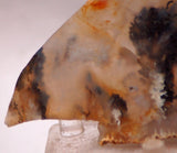 Graveyard Point Plume Agate 2.0oz lapidary slab (57 grams) - radiantrocksct