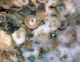 Madagascar Ocean Jasper 33oz Lapidary Cab Slab - white green druzy - radiantrocksct