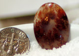 Carey Plume Agate Oval Cabochon 14.5 carats - radiantrocksct