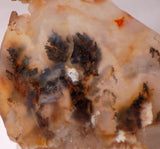 Graveyard Point Plume Agate 2.0oz lapidary slab (57 grams) - radiantrocksct