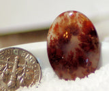 Carey Plume Agate Oval Cabochon 14.5 carats - radiantrocksct