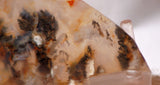 Graveyard Point Plume Agate 2.0oz lapidary slab (57 grams) - radiantrocksct
