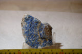 Russian Lapis Lazuli lapidary  rough 11.8 oz (335 grams) - radiantrocksct