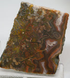 Agua Neuva Agate Slab -  Radiant Rocks CT