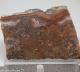 Agua Neuva Agate Slab -  Radiant Rocks CT