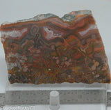 Agua Neuva Agate Slab -  Radiant Rocks CT
