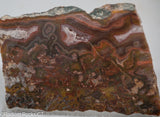 Agua Neuva Agate Slab -  Radiant Rocks CT