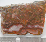 Agua Neuva Agate Slab -  Radiant Rocks CT