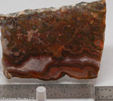 Agua Neuva Agate Slab -  Radiant Rocks CT