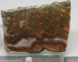 Agua Neuva Agate Slab -  Radiant Rocks CT