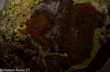 Agua Nueva Display Geode - Radiant Rocks CT