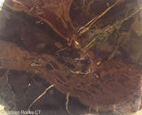 Amazon Basin Valley Jasper Slab  - Radiant Rocks  CT