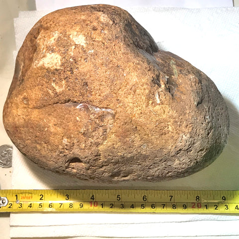 Amazon Valley Jasper 9.9 lbs (4480 grams) lapidary rough - radiantrocksct